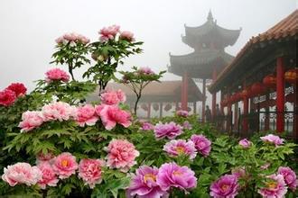 菏泽瓷砖美缝
