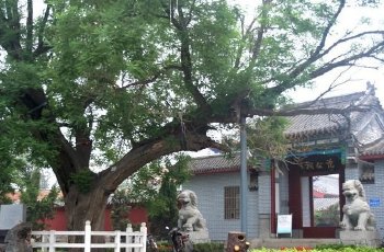 滨州瓷砖美缝