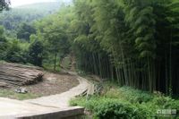 宜兴瓷砖美缝