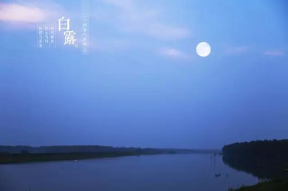 瓷砖美缝
