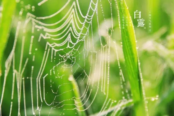 瓷砖美缝