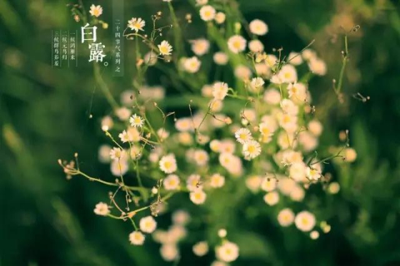 瓷砖美缝